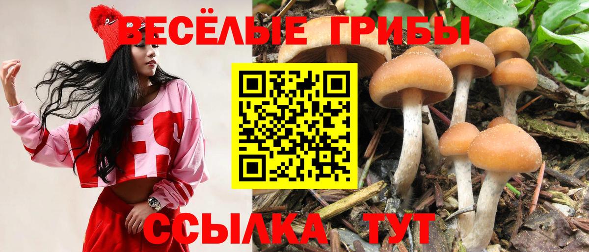 Галлюциногенные грибы мицелий Советский