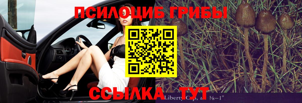 купить наркотик  Вход с VPN  Советский  Псилоцибиновые грибы GOLDEN TEACHER 